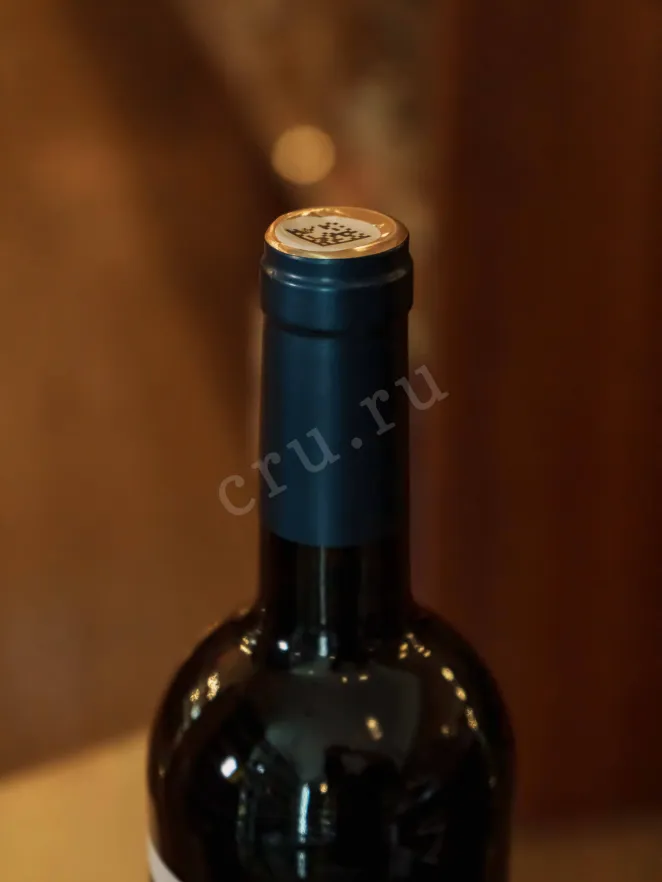Пробка Chateau Tamagne Cabernet Red Dry 2023 0.75 л