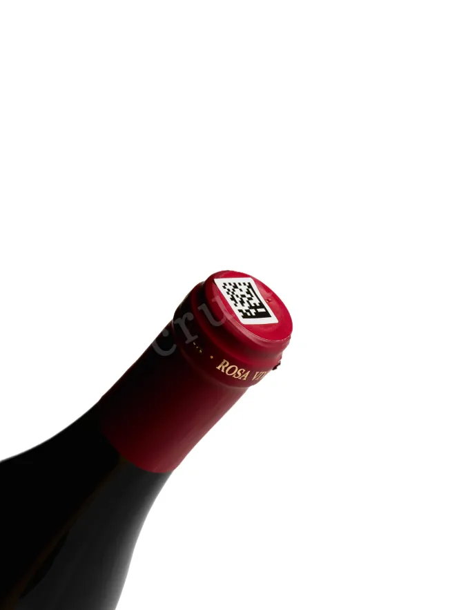 Пробка Agora Rosa Viva Merlot Red Dry 2025 0.75 л