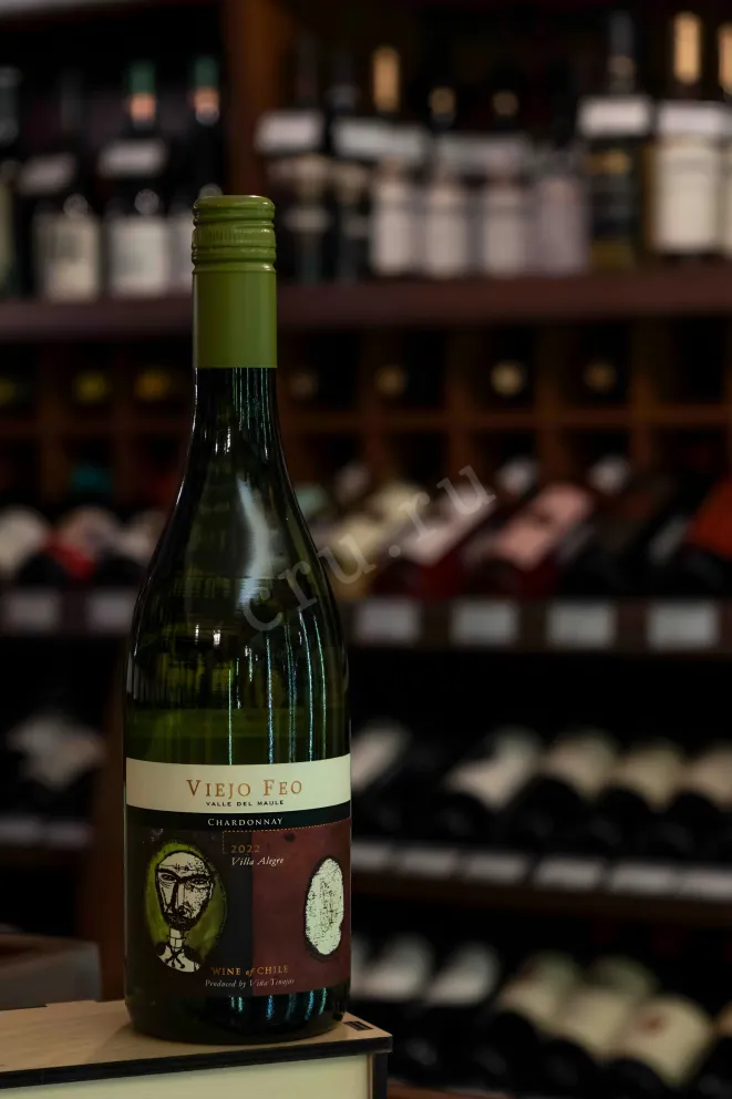 В магазине Крю Профи Viejo Feo Chardonnay 2023 0.75 л
