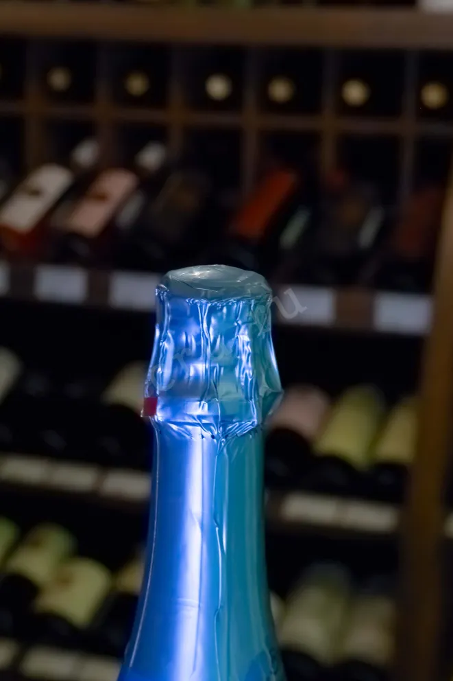 Пробка Bon Voyage Pinot Noir 2024 0.75 л