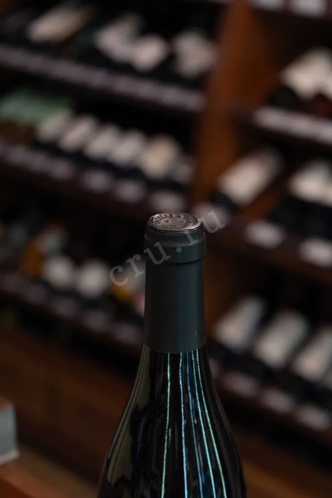 Пробка Domaine Michel Thomas Et Fils Sancerre 2022 0.75 л