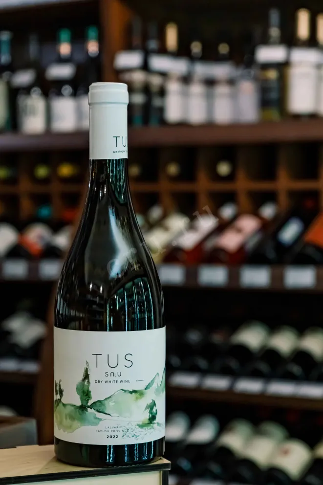 В магазине Крю Профи Tus Classic White Dry 2022 0.75 л