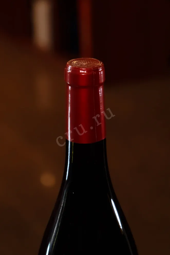 Пробка Delmas Terroir Haute Vallee De l'Aude Pinot Noir 2021 0.75 л
