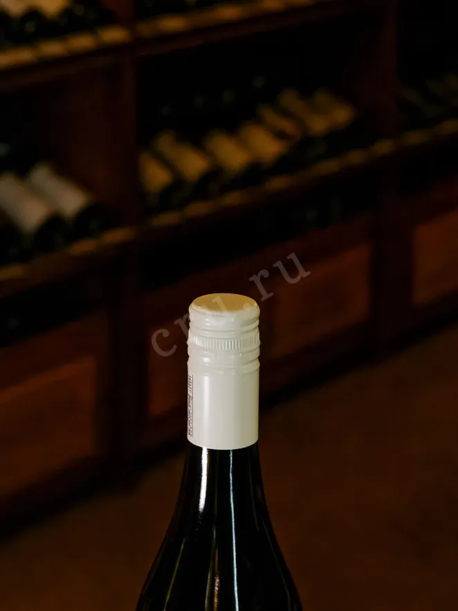 Пробка Wild Beast Elepard Cabernet Sauvignon 2022 0.75 л