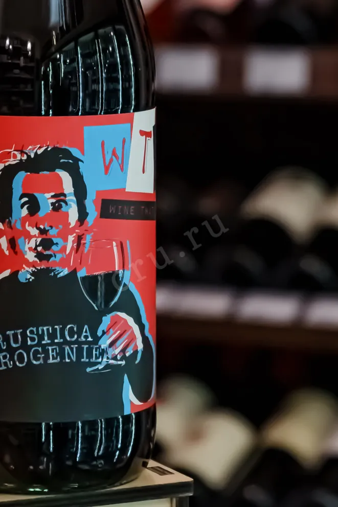В магазине Крю Профи Palazzo Tronconi WTF Rustica Progenie Frusinate red 2021 1 л