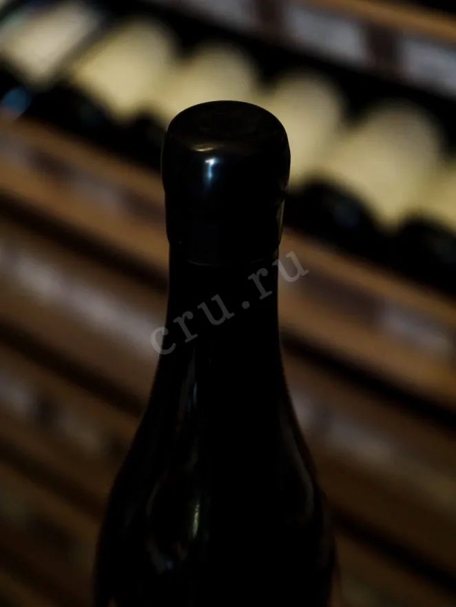 Пробка Chassagne Montrachet 1er Cru Dent de Chien 2020 0.75 л