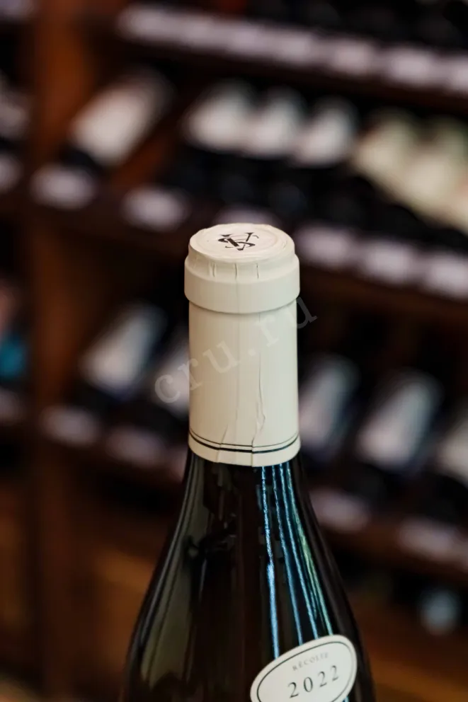 Пробка Albert Sounit Montagny Premier Cru Vieilles Vignes 2021 0.75 л