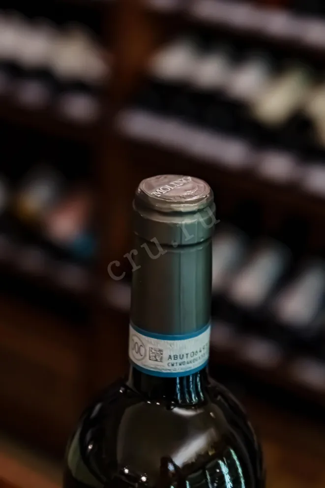Пробка Mauro Molino Langhe Chardonnay 2019 0.75 л