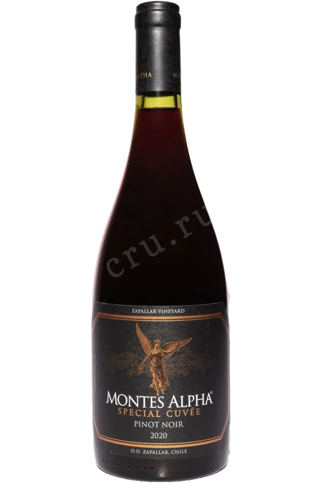 Вино Montes Alpha Special Cuvee Zapallar DO 2020 0.75 л