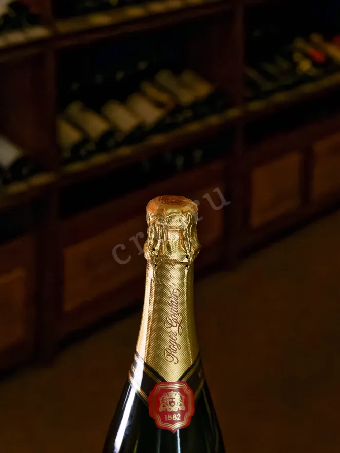 Пробка Roger Goulart Millesime Brut 2023 0.75 л