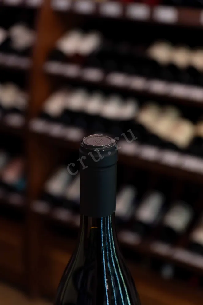 Пробка Bottega Vinai Teroldego Rotaliano 2018 0.75 л