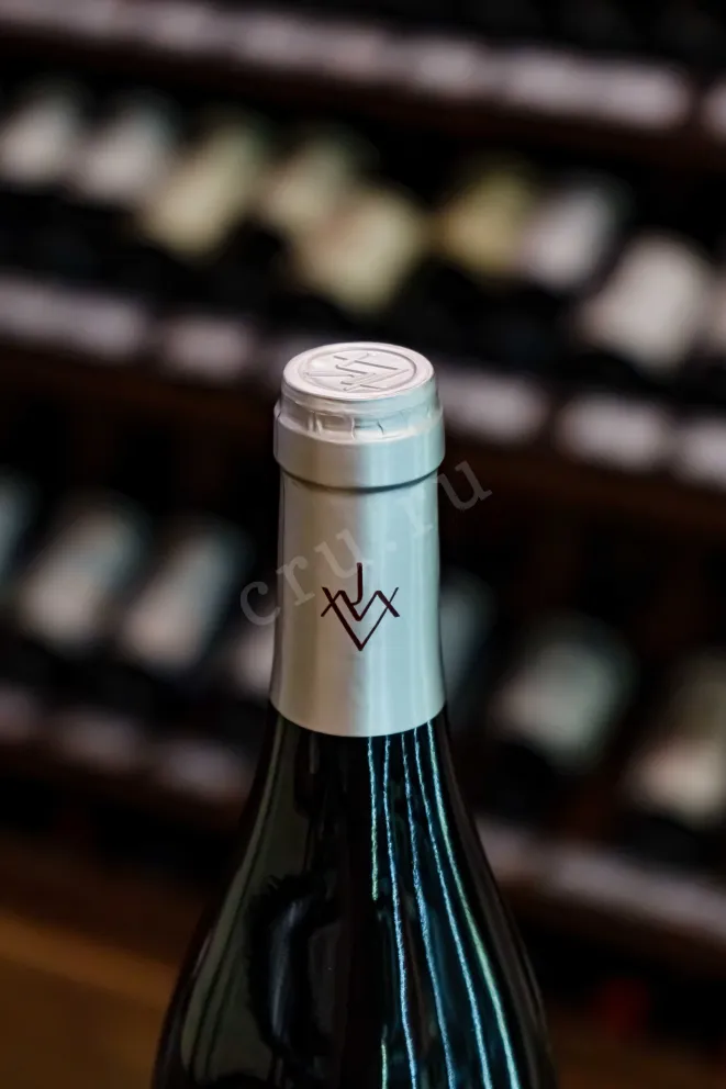 Пробка Charles Joguet Silenes Chinon 2023 0.75 л