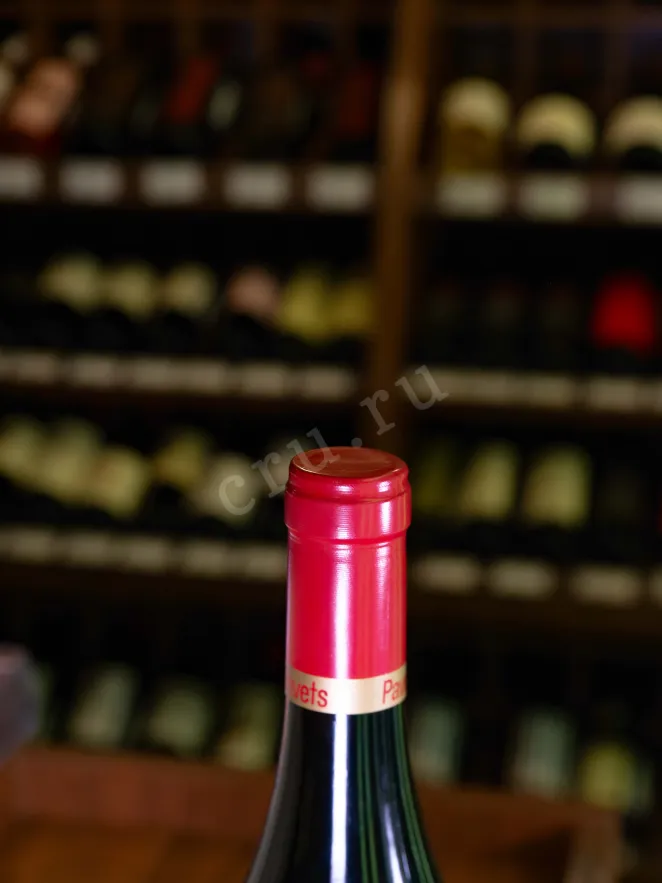 Пробка Pavel Shvets Cabernet Sauvignon Merlot Chernay River Valley 2021 0.75 л