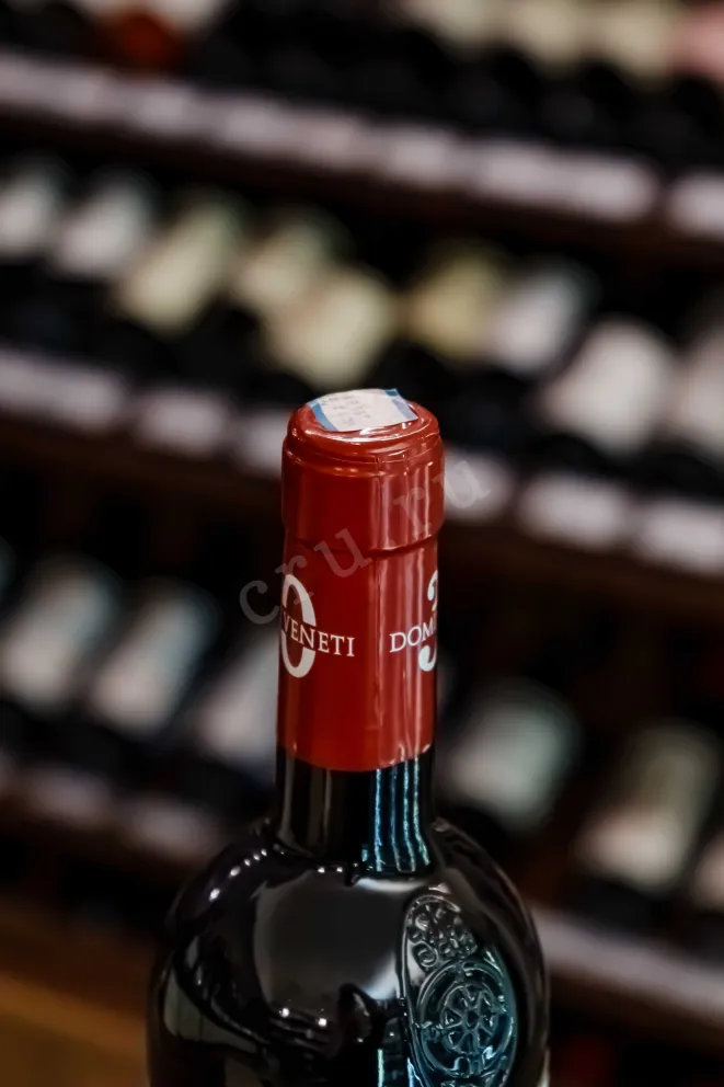 Пробка Domini Veneti Bardolino Classico 2020 0.75 л