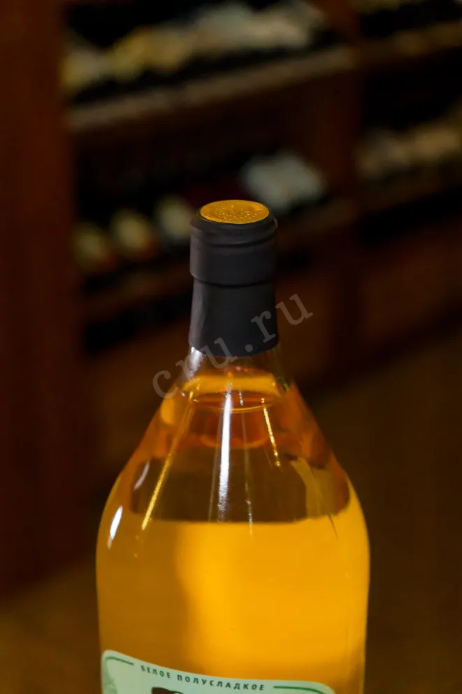 Вино Georgian Homemade Wine Semi-sweet 2022 2 л