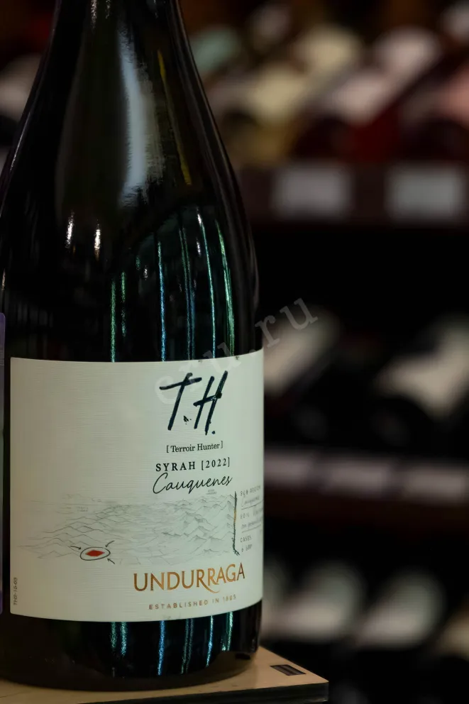 В магазине Крю Профи Undurraga TH (Terroir Hunter) Syrah DO Cauquenes  2022 0.75 л