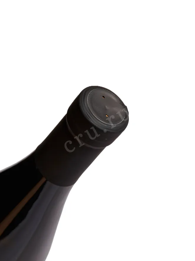 Пробка Vinnye Kraski Chardonnay 2024 0.75 л