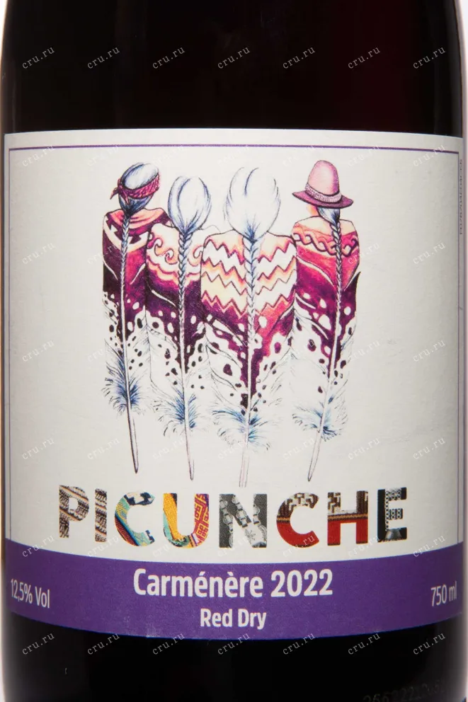 Этикетка Picunche Carmenere Valle Central 2022 0.75 л