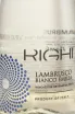 Этикетка Lambrusco Emilia Righi 2024 0.75 л