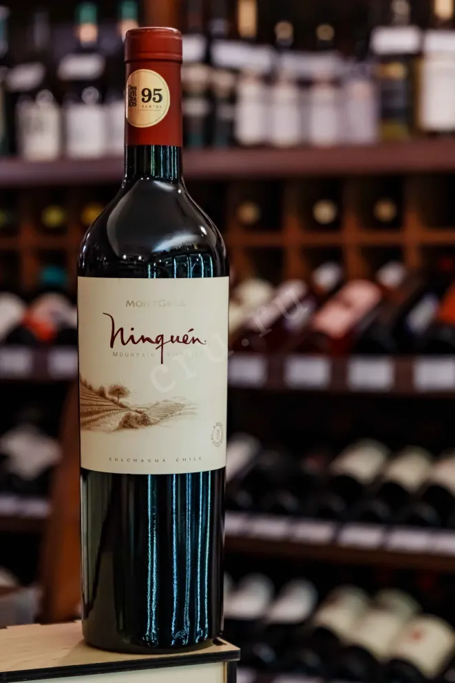 В магазине Крю Профи MontGras Ninquen Moutain Vineyard DO Valle del Colchagua 2017 0.75 л