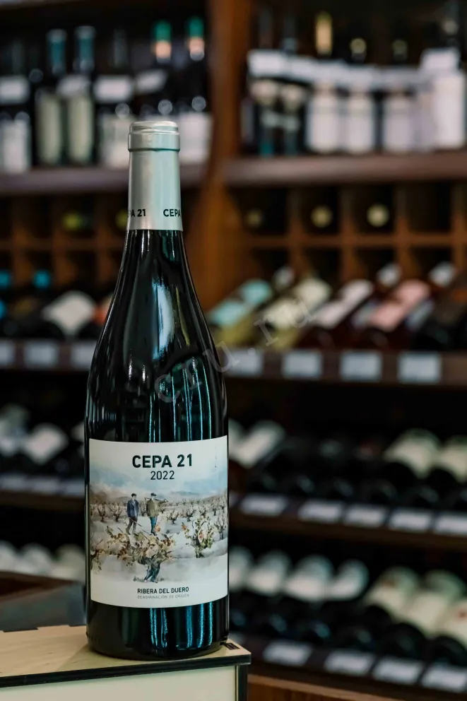 В магазине Крю Профи Cepa 21 Ribera Del Duero 2022 0.75 л
