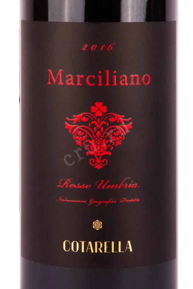 Этикетка вина Марчилиано Котарелла Умбрия ИГП 2016 0.75