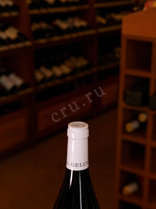 Вино Gilles Gelin Bourgogne Pinot Noir 2022 0.75 л