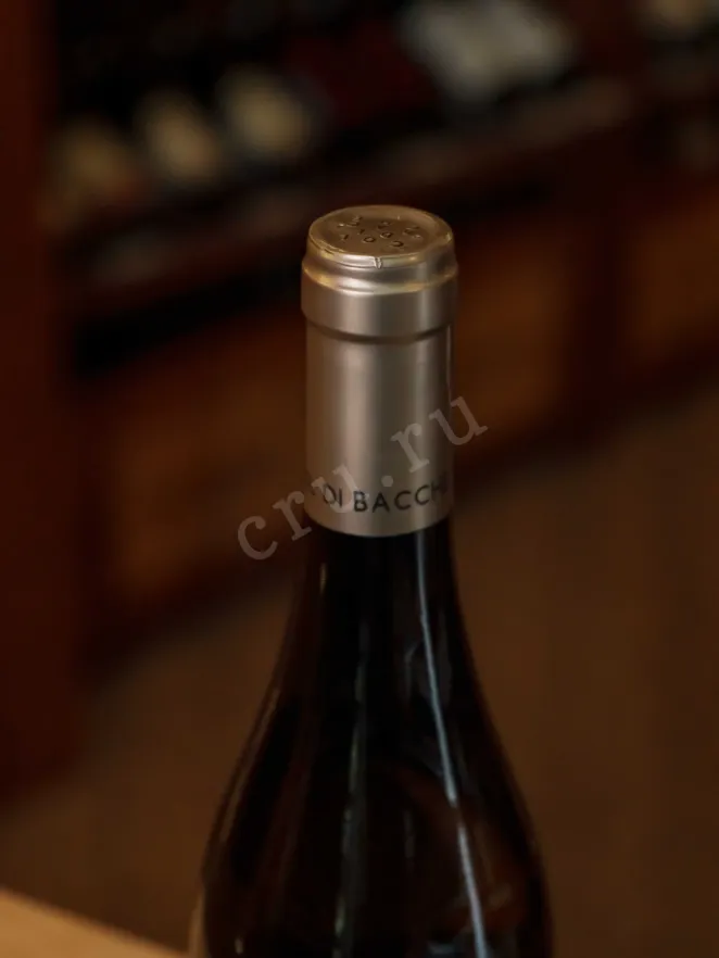 Пробка Col di Bacche Vermentino 2024 0.75 л