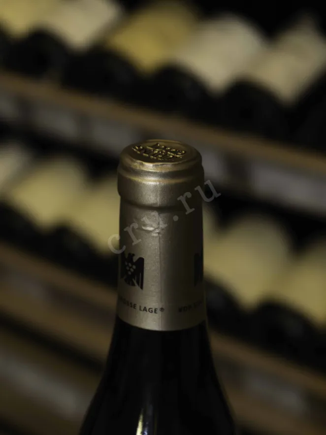 Пробка Kuhling-Gillot Oppenheim Kreuz Spatburgunder 2019 0.75 л