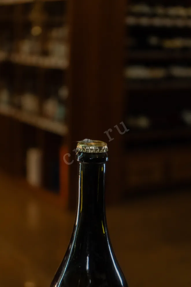 Пробка Fanagoria Pet Nat Sauvignon Blanc-Aligote-Pinot Meunier 2022 0.75 л