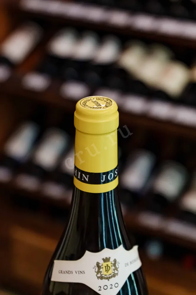 Пробка Montagny Premier Cru 2020 0.75 л