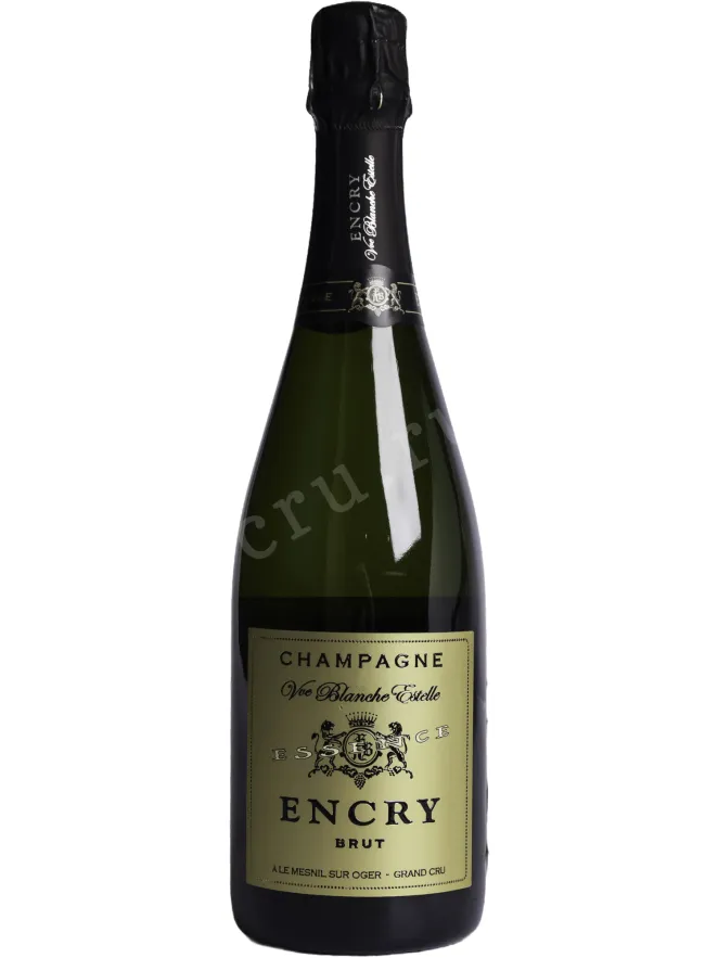 Шампанское Encry Brut 2018 0.75 л