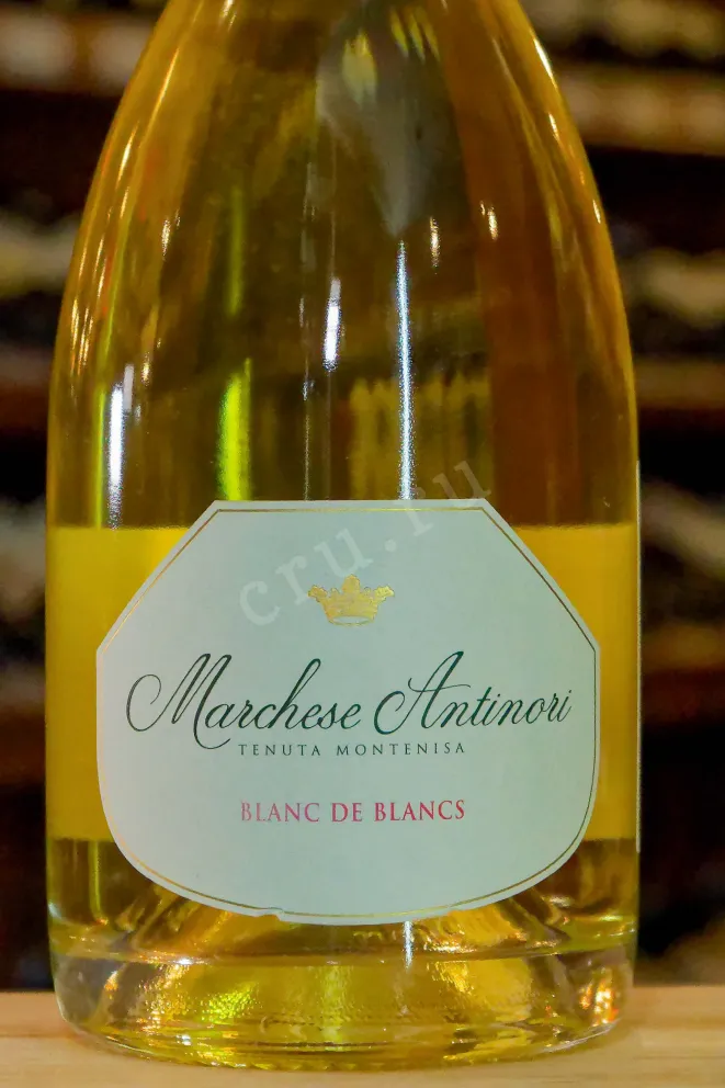 В магазине Крю Профи Marchese Antinori Blanc de Blancs Brut 2016 1.5 л