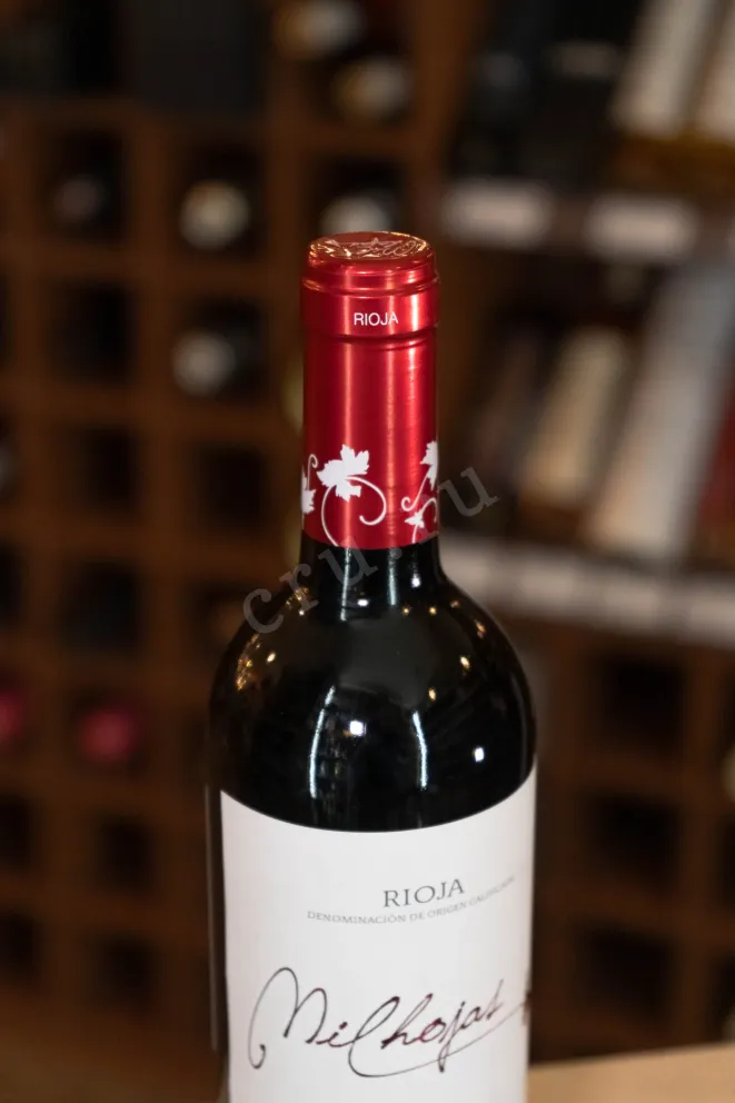 Пробка 1000 Mil Hojas Rioja Tempranillo DOC 2023 0.75 л