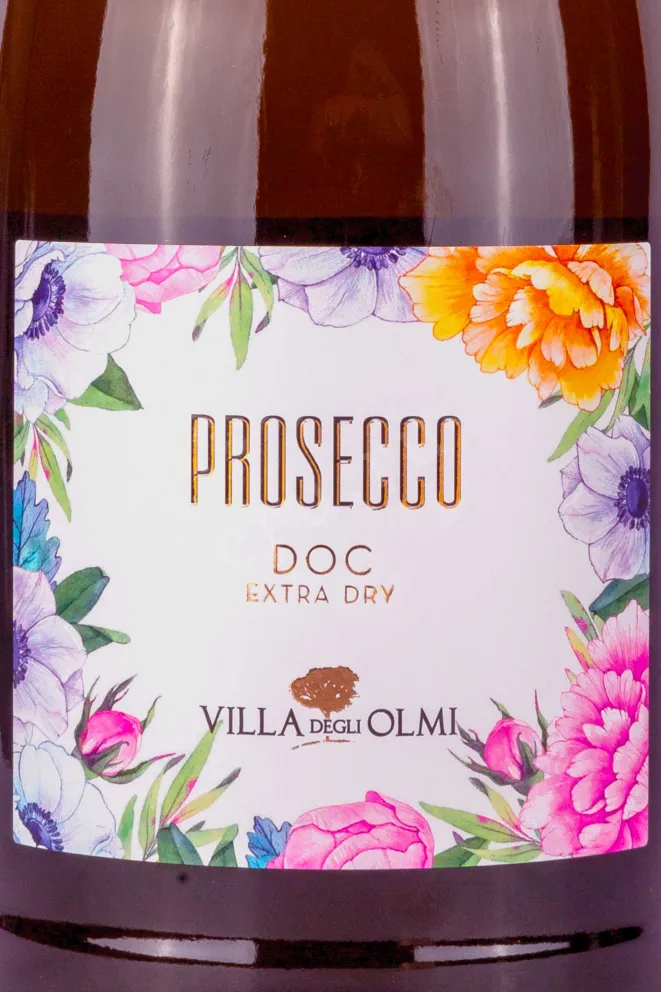 Этикетка Villa Degli Olmi Spumante Extra Dry DOC 2023 1.5 л