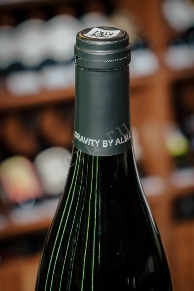 Пробка Alma Gravity Cabernet Sauvignon 2022 0.75 л