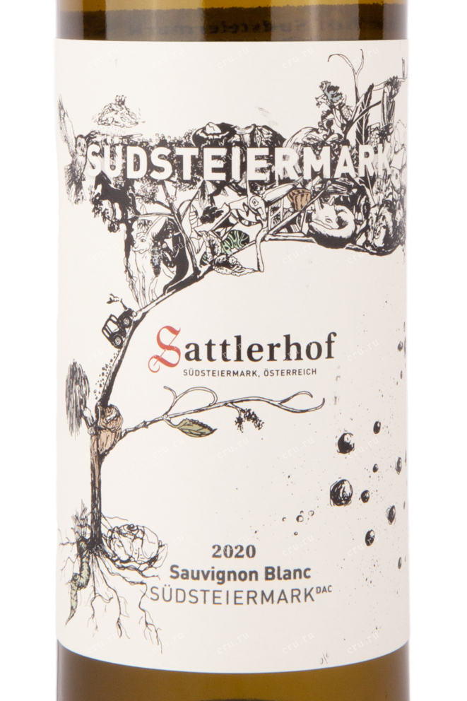 Этикетка вина Заттлерхоф Зюдштайермарк Совиньон Блан 2020 0.75