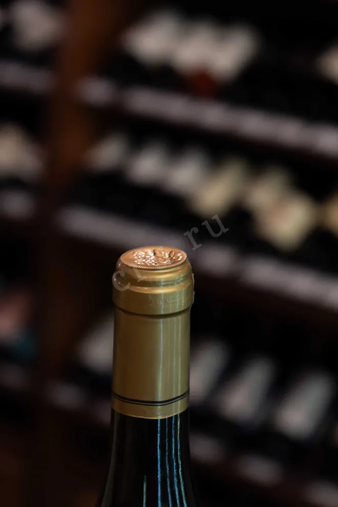 Пробка Dampt Chablis Premier Cru Fourchaume 2023 0.75 л