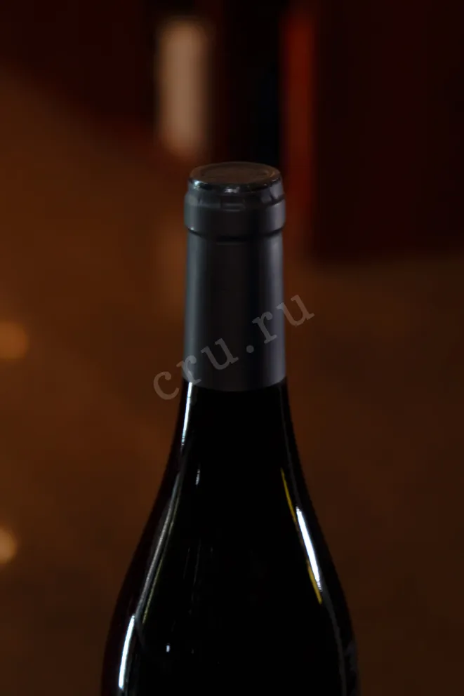 Пробка Famille Descombe Syrah 2021 0.75 л