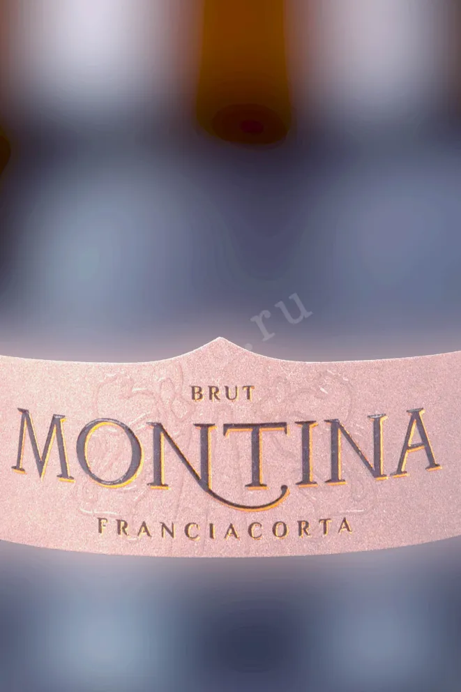 Этикетка Montina Franciacorta Brut in gift box 2023 0.75 л