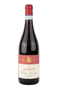 Вино Antichi Vigneti di Cantalupo Agamium Colline Novaresi 2017 0.75 л