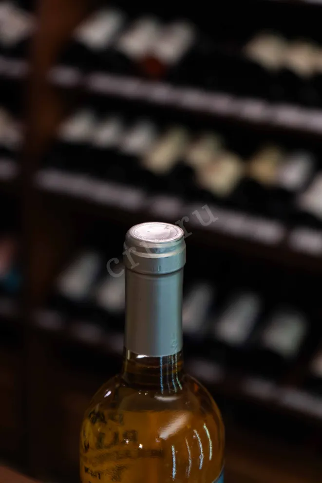 Пробка Patrizio Trebbiano 2020 0.75 л