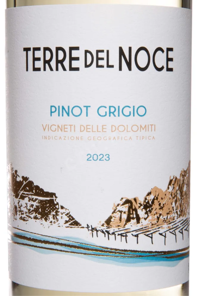 Этикетка Mezzacorona Terre del Noce Pinot Grigio 2023 0.75 л