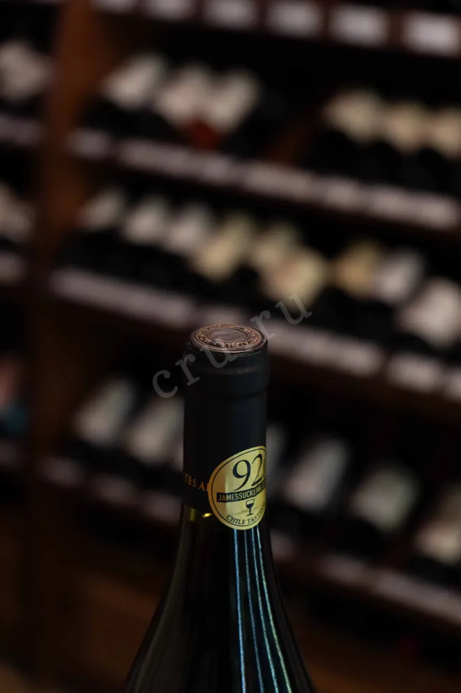 В магазине Крю Профи Montes Alpha Pinot Noir DO 2022 0.75 л