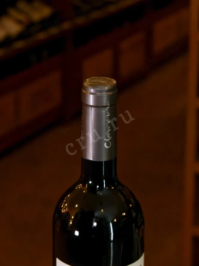 Пробка Claroscuro Cabernet Franc 2022 0.75 л