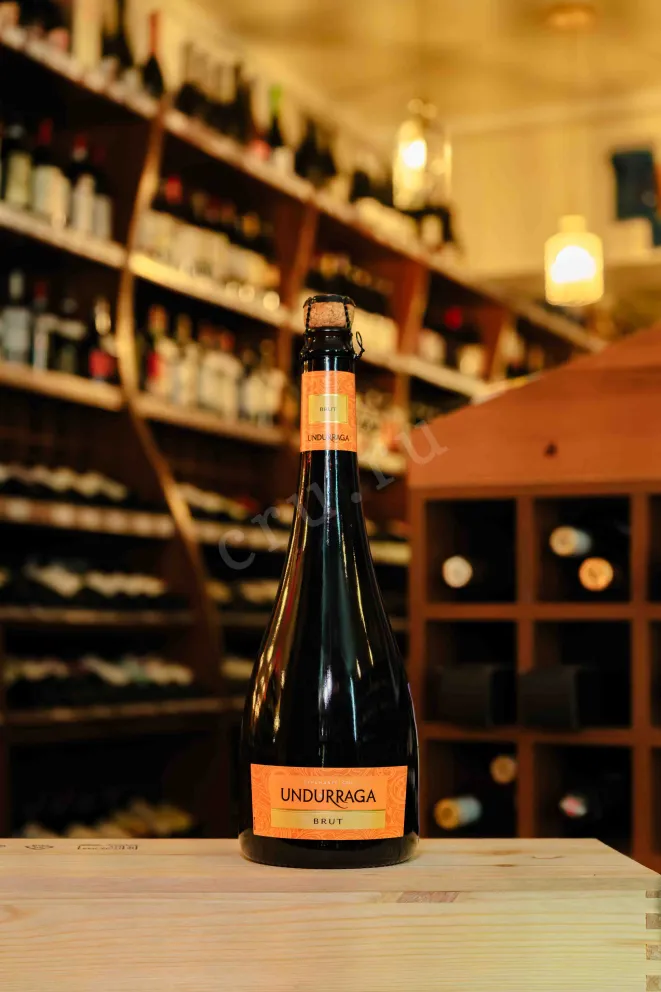 В магазине Крю Профи Undurraga Brut 2023 0.75 л