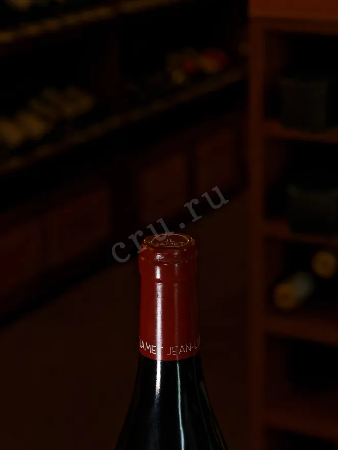 Пробка Domaine Jean-Luc Jamet Schistes Pinot Noir Collines Rhodaniennes 2019 0.75 л