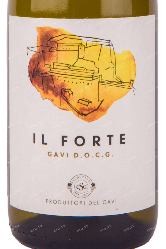 Этикетка вина Produttori del Gavi Il Forte Gavi 0.75 л