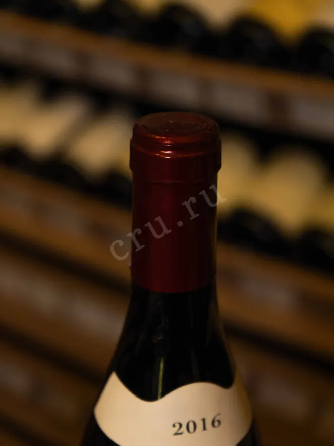 Пробка Morey-Saint-Denis Premier Cru Les Millandes AOC Domaine Pierre Amiot et Fils 2016 0.75 л