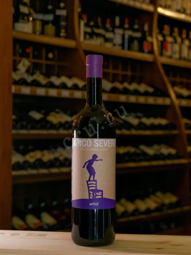 В магазине Крю Профи Friuli Colli Orientali Ronco Severo Artiul Merlot Riserva  2020 0.75 л